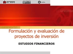 curso-formulacion-evaluacion-proyectos-inversion