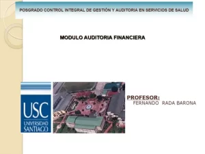curso-modulo-auditoria-financiera