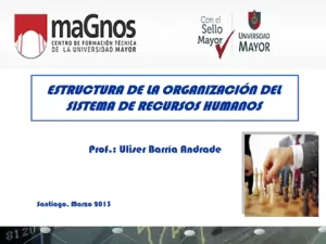curso-organizacion-sistema-rrhh